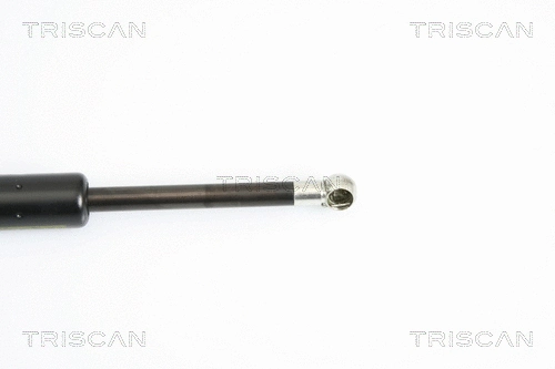 Gas Spring, boot/cargo area