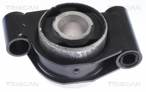 Mounting, control/trailing arm