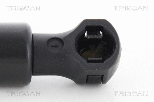Gas Spring, boot/cargo area