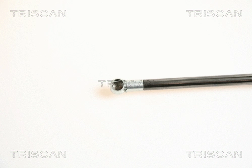 Gas Spring, boot/cargo area