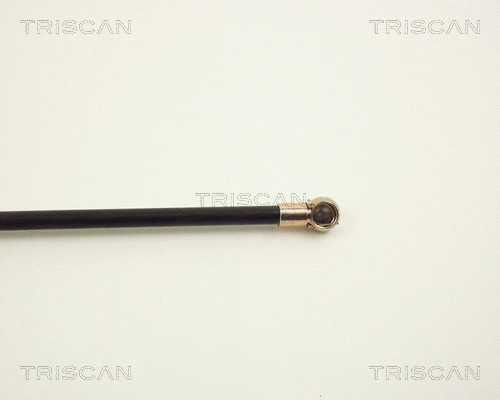 Gas Spring, boot/cargo area