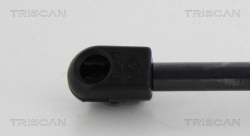 Gas Spring, boot/cargo area (8710 10213)