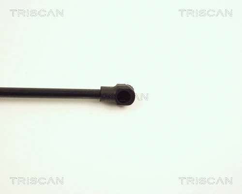 Gas Spring, boot/cargo area