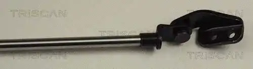 Gas Spring, boot/cargo area