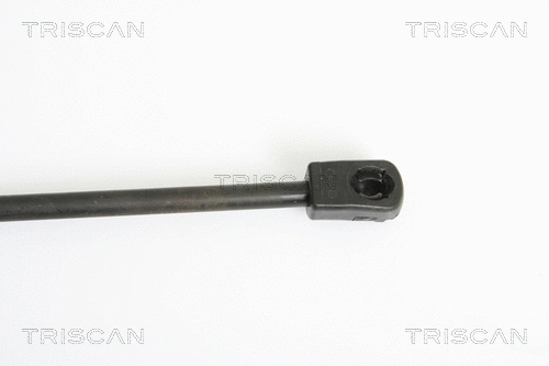 Gas Spring, bonnet