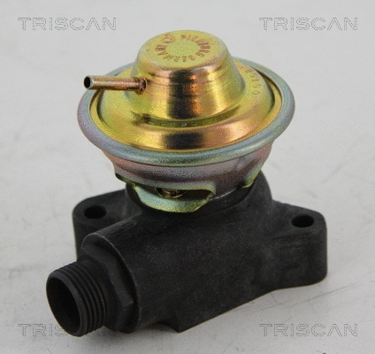 EGR Valve (8813 23204)