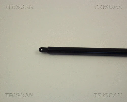 Gas Spring, boot/cargo area