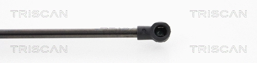 Gas Spring, boot/cargo area