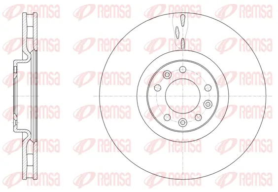 Brake Disc (61498 10)