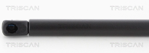 Gas Spring, boot/cargo area