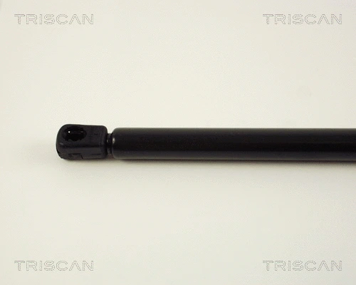 Gas Spring, boot/cargo area
