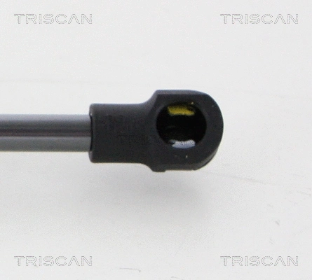 Gas Spring, boot/cargo area