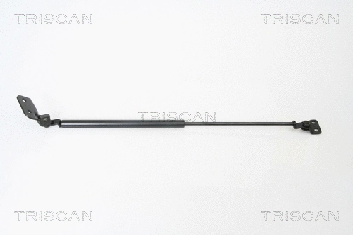 Gas Spring, boot/cargo area (8710 18221)