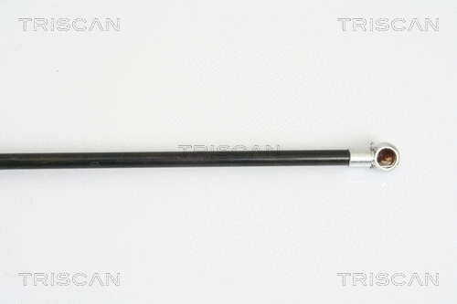 Gas Spring, boot/cargo area