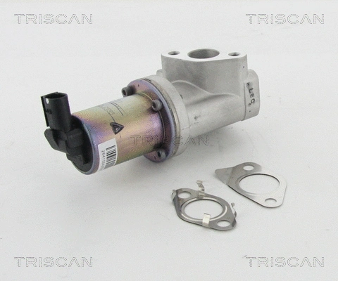 EGR Valve (8813 43021)