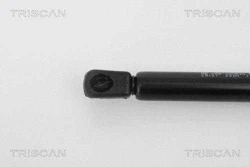 Gas Spring, bonnet