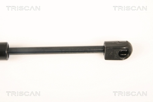 Gas Spring, boot/cargo area