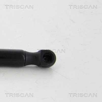 Gas Spring, boot/cargo area