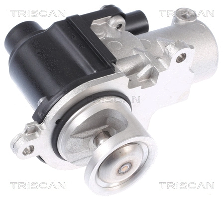 EGR Valve (8813 29338)