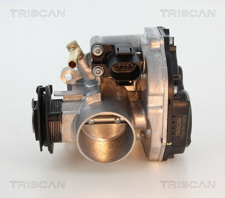 Throttle Body