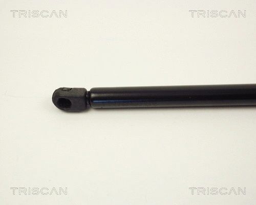 Gas Spring, boot/cargo area