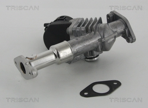 EGR Valve (8813 11006)