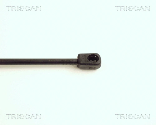 Gas Spring, bonnet