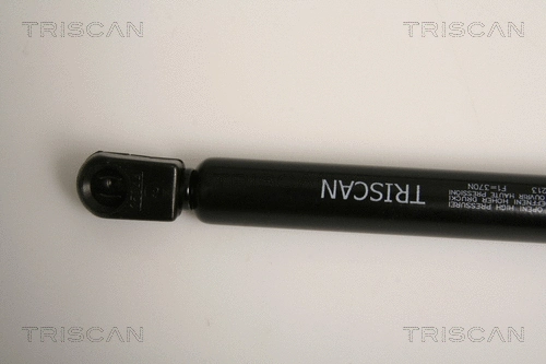 Gas Spring, boot/cargo area