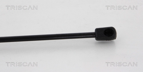 Gas Spring, boot/cargo area