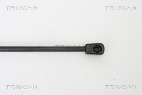 Gas Spring, boot/cargo area