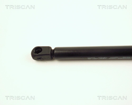 Gas Spring, boot/cargo area