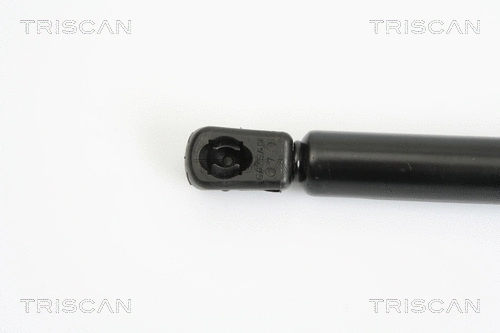 Gas Spring, boot/cargo area
