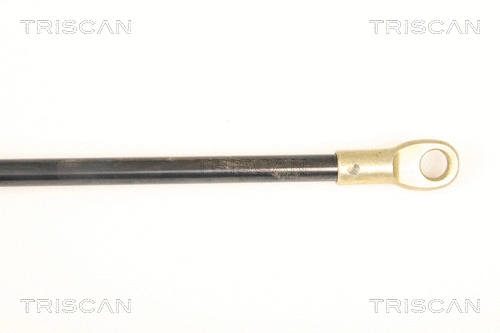 Gas Spring, front panel