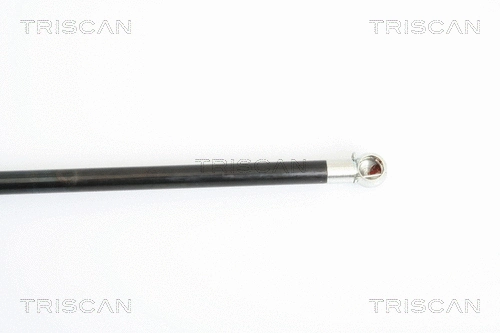 Gas Spring, boot/cargo area