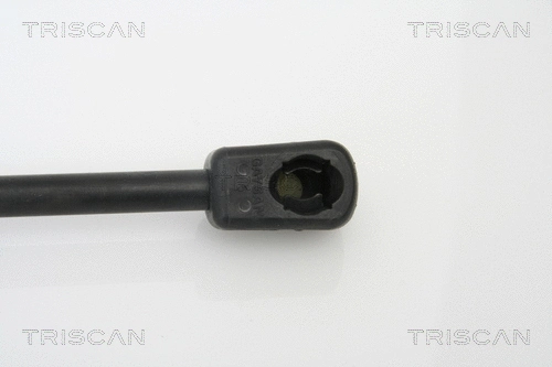 Gas Spring, boot/cargo area