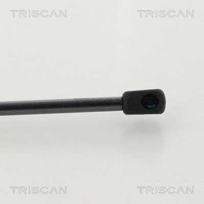 Gas Spring, boot/cargo area