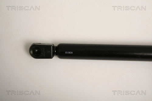 Gas Spring, boot/cargo area