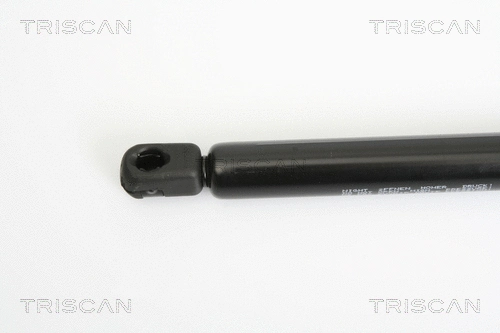 Gas Spring, boot/cargo area