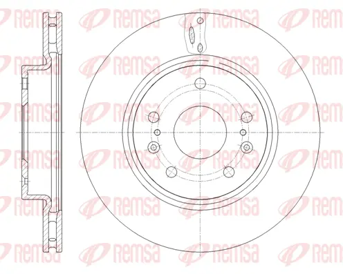 Brake Disc (61665 10)