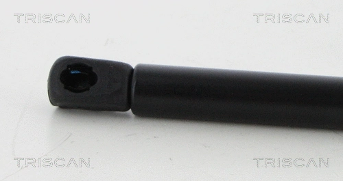 Gas Spring, boot/cargo area