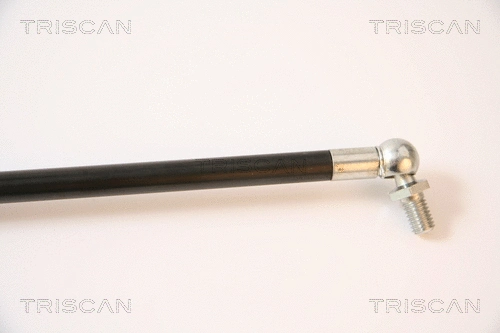 Gas Spring, boot/cargo area