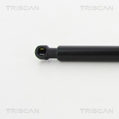 Gas Spring, boot/cargo area