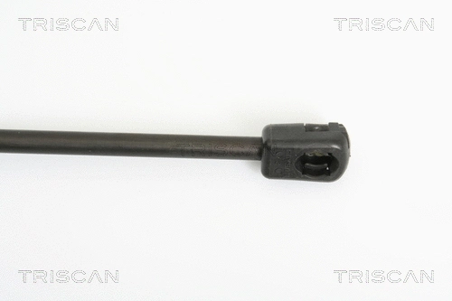 Gas Spring, boot/cargo area