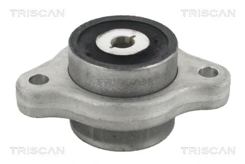 Mounting, control/trailing arm (8500 23887)