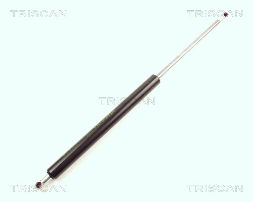 Gas Spring, boot/cargo area (8710 21200)