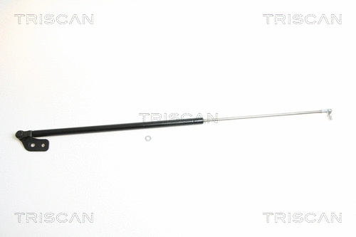 Gas Spring, boot/cargo area (8710 18209)