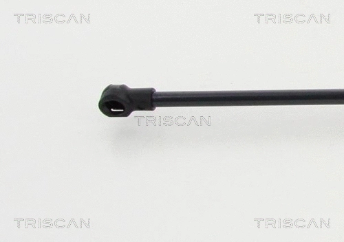 Gas Spring, boot/cargo area