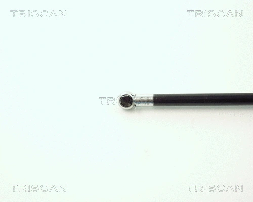 Gas Spring, boot/cargo area