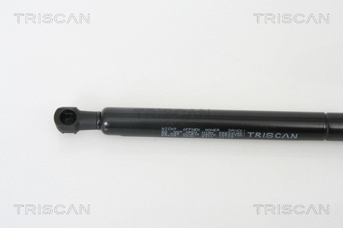 Gas Spring, boot/cargo area