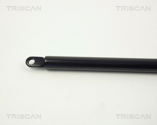 Gas Spring, boot/cargo area